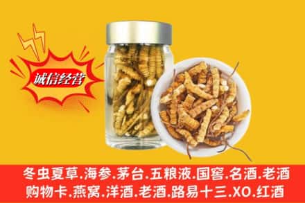 梅县区回收散虫草