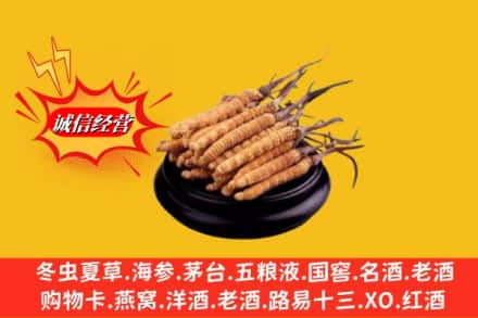 梅县区名酒回收冬虫夏草.jpg